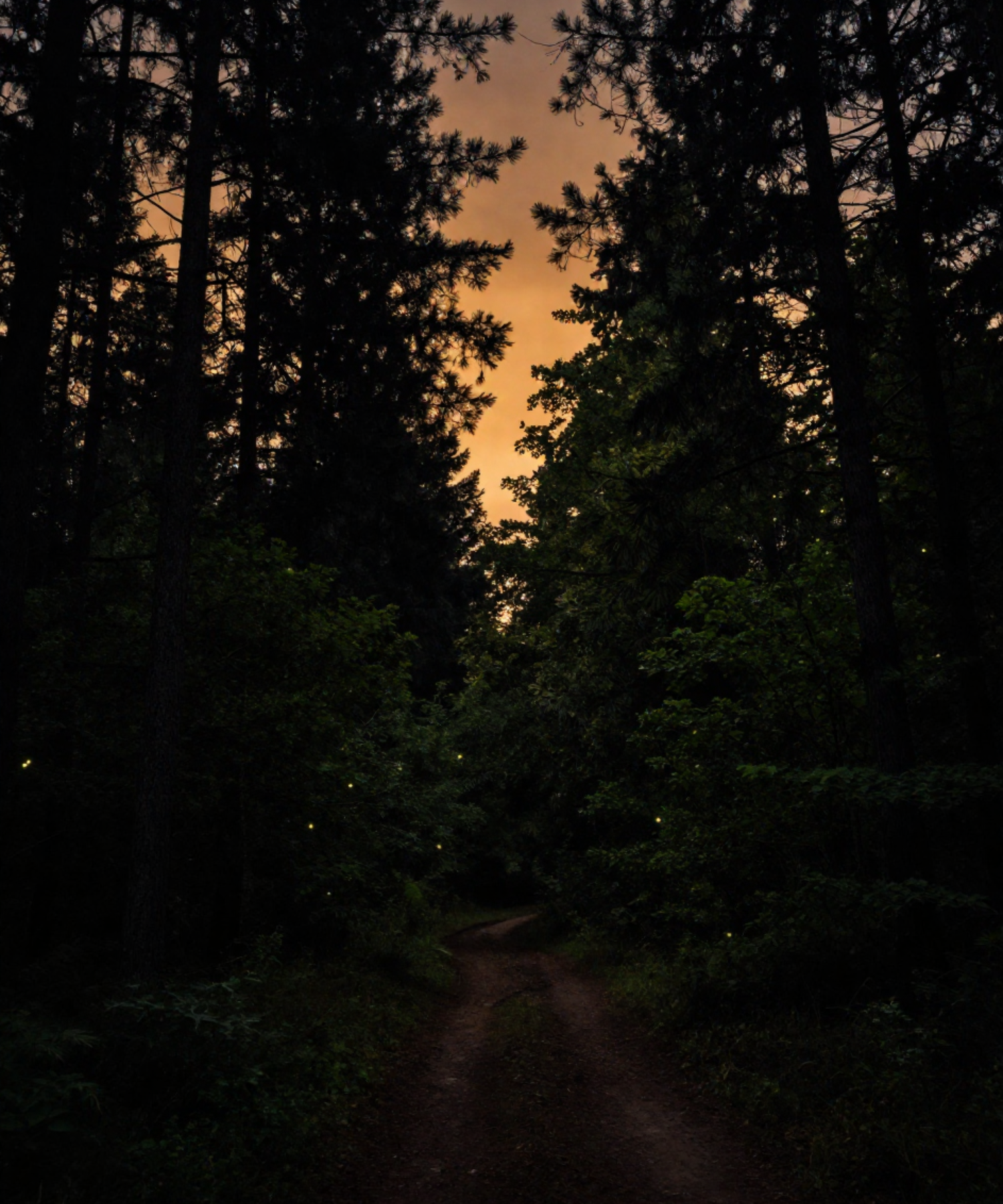 The Treeline