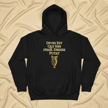 Rich Are They Who Think They Lack Nothing - Dives Est Qui Sibi Nihil Deesse Putat - Unisex Hoodie